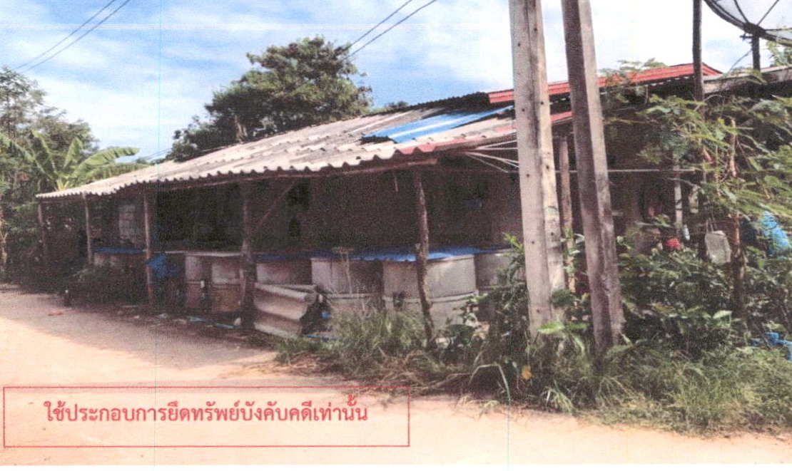 ขายทอดตลาด ที่ดินพร้อมสิ่งปลูกสร้าง ต.บัวขาว อ.กุฉินารายณ์ จ.กาฬสินธุ์