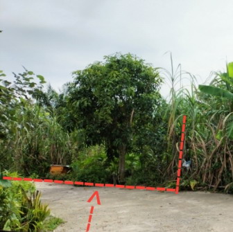 ขายทอดตลาด ที่ดินว่างเปล่า ต.ปากพูน อ.เมืองนครศรีธรรมราช จ.นครศรีธรรมราช