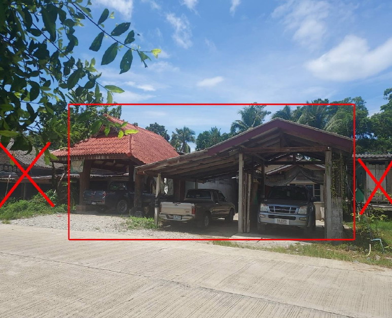 ขายทอดตลาด ที่ดินพร้อมสิ่งปลูกสร้าง ต.(ซากอ) ศรีสาคร อ.ศรีสาคร จ.นราธิวาส