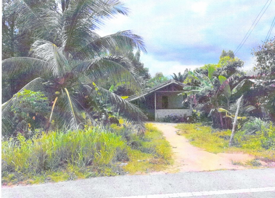 ขายทอดตลาด ที่ดินพร้อมสิ่งปลูกสร้าง ต.บาเระเหนือ อ.บาเจาะ จ.นราธิวาส