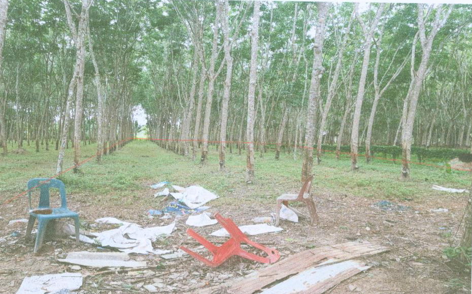 ขายทอดตลาด ที่ดินว่างเปล่า ต.เกาะขันธ์ อ.ชะอวด จ.นครศรีธรรมราช