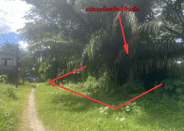 ขายทอดตลาด ที่ดินพร้อมสิ่งปลูกสร้าง ต.โพธิ์เสด็จ อ.เมืองนครศรีธรรมราช จ.นครศรีธรรมราช