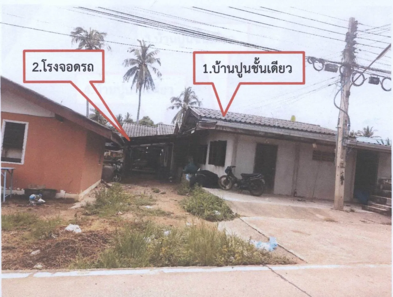 ขายทอดตลาด ที่ดินพร้อมสิ่งปลูกสร้าง ต.ท่าไม้รวก อ.ท่ายาง จ.เพชรบุรี