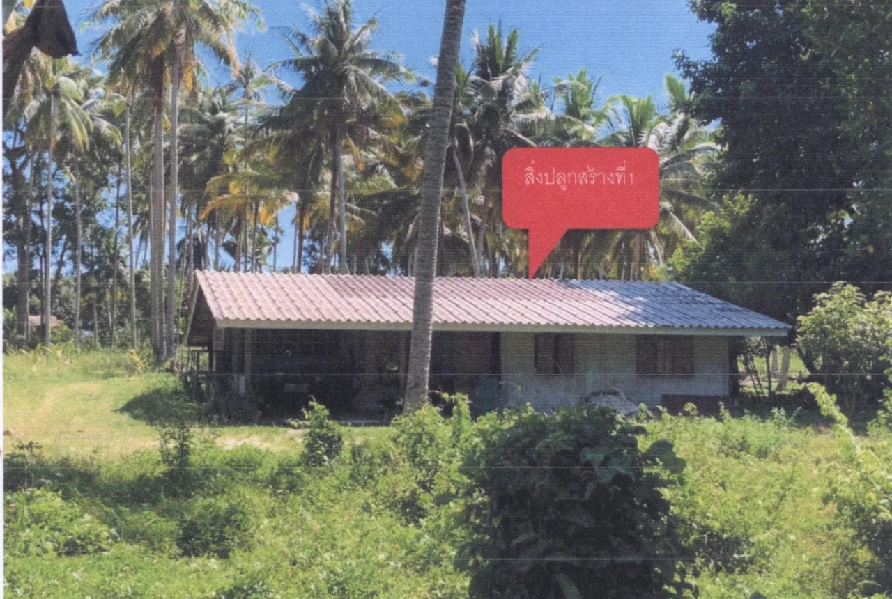 ขายทอดตลาด ที่ดินพร้อมสิ่งปลูกสร้าง ต.ไพรวัน อ.ตากใบ จ.นราธิวาส