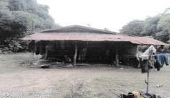 ขายทอดตลาด ที่ดินพร้อมสิ่งปลูกสร้าง ต.หนองกะทิง อ.ลำปลายมาศ จ.บุรีรัมย์