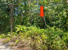 ขายทอดตลาด ที่ดินว่างเปล่า ต.กะลุวอ อ.เมืองนราธิวาส จ.นราธิวาส