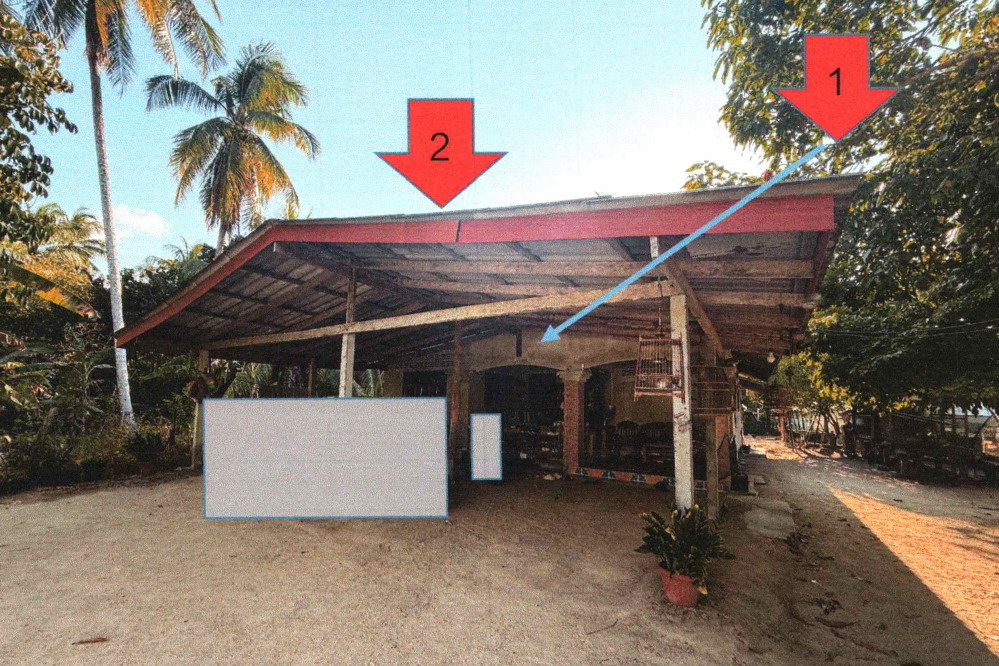 ขายทอดตลาด ที่ดินพร้อมสิ่งปลูกสร้าง ต.ปะลุกาสาเมาะ อ.บาเจาะ จ.นราธิวาส