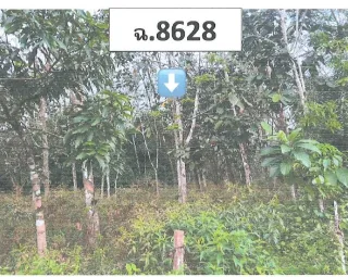 รูปทรัพย์ 3