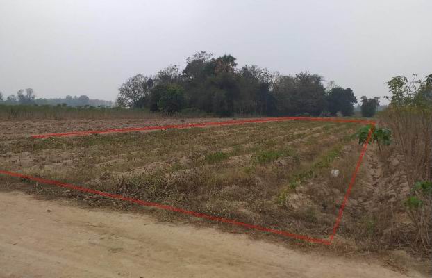 ขายทอดตลาด ที่ดินว่างเปล่า ต.วังชะพลู อ.ขาณุวรลักษบุรี จ.กำแพงเพชร