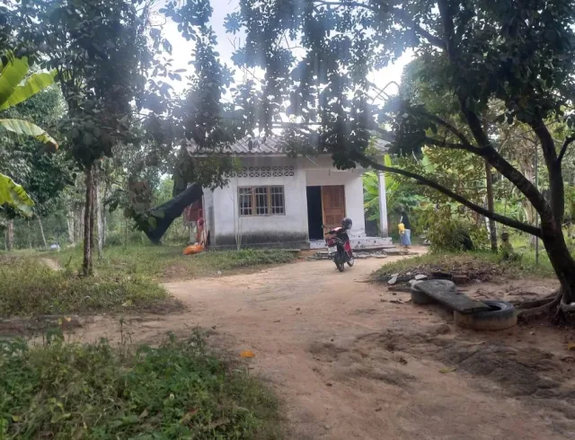 ขายทอดตลาด ที่ดินพร้อมสิ่งปลูกสร้าง ต.ริโก๋ อ.สุไหงปาดี จ.นราธิวาส