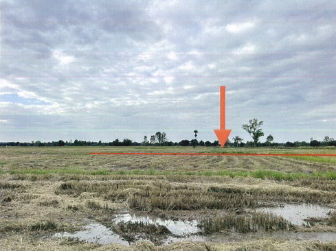 ขายทอดตลาด ที่ดินว่างเปล่า ต.บัวบาน อ.ยางตลาด จ.กาฬสินธุ์