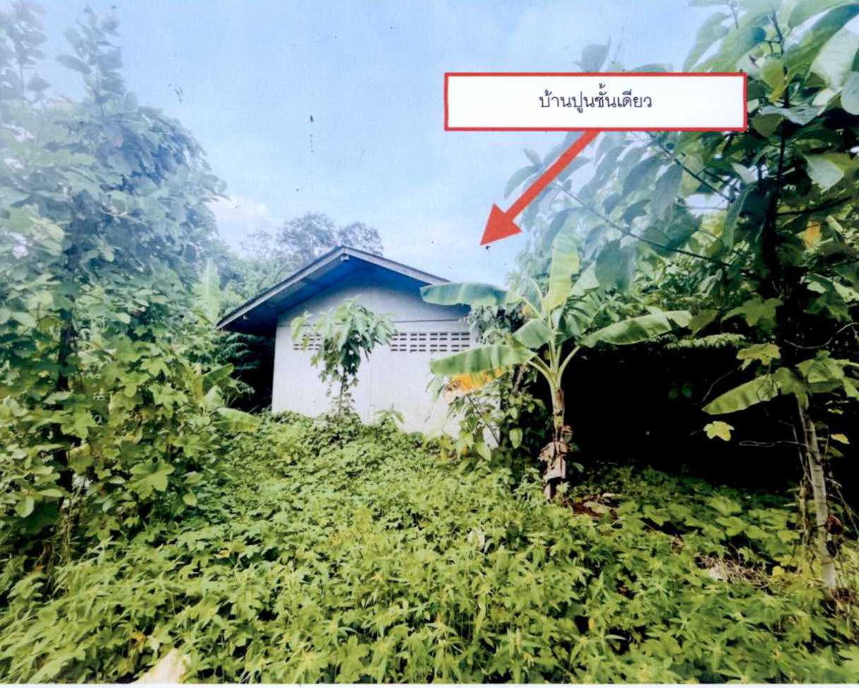 ขายทอดตลาด ที่ดินพร้อมสิ่งปลูกสร้าง ต.ท่าแลง อ.ท่ายาง จ.เพชรบุรี