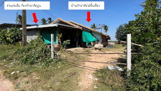 ขายทอดตลาด ที่ดินพร้อมสิ่งปลูกสร้าง ต.หนองเต็ง อ.กระสัง จ.บุรีรัมย์