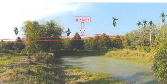 ขายทอดตลาด ที่ดินว่างเปล่า ต.กะหรอ อ.นบพิตำ จ.นครศรีธรรมราช