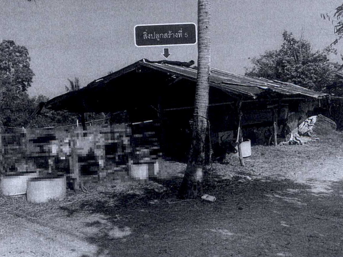 ขายทอดตลาด ที่ดินพร้อมสิ่งปลูกสร้าง ต.ท่ายาง อ.ท่ายาง จ.เพชรบุรี