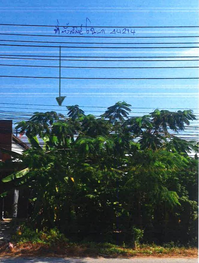 ขายทอดตลาด ที่ดินว่างเปล่า ต.คูบางหลวง อ.ลาดหลุมแก้ว จ.ปทุมธานี