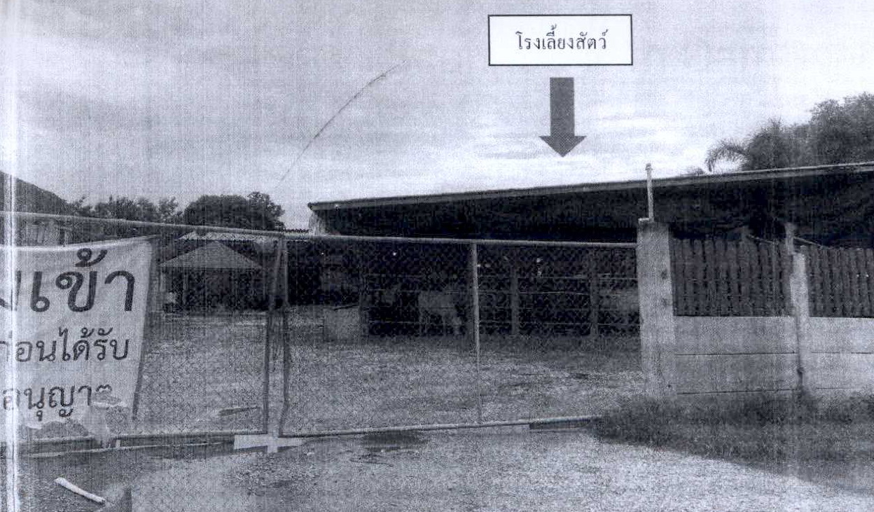 ขายทอดตลาด ที่ดินพร้อมสิ่งปลูกสร้าง ต.ท่าคอย อ.ท่ายาง จ.เพชรบุรี