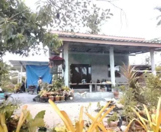 รูปทรัพย์ 1
