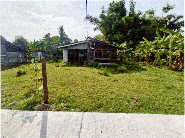 ขายทอดตลาด ที่ดินพร้อมสิ่งปลูกสร้าง ต.สำโรง อ.พลับพลาชัย จ.บุรีรัมย์
