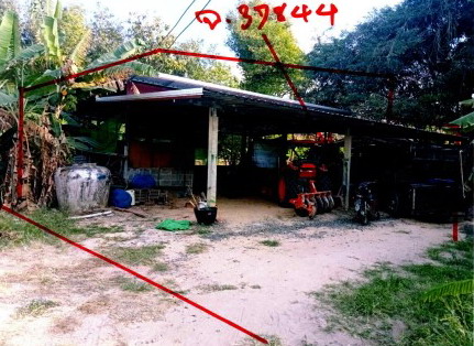 ขายทอดตลาด ที่ดินพร้อมสิ่งปลูกสร้าง ต.สตึก อ.สตึก จ.บุรีรัมย์