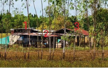 ขายทอดตลาด ที่ดินพร้อมสิ่งปลูกสร้าง ต.สระบัว อ.แคนดง จ.บุรีรัมย์