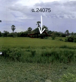 รูปทรัพย์ 2