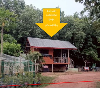 ขายทอดตลาด ที่ดินพร้อมสิ่งปลูกสร้าง ต.โนนสูง อ.ยางตลาด จ.กาฬสินธุ์