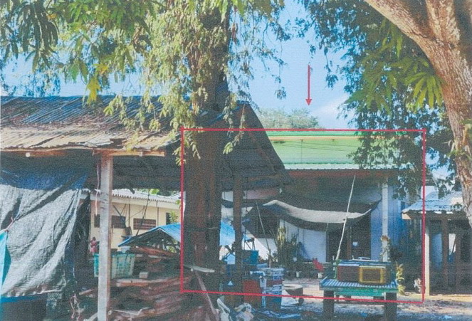 ขายทอดตลาด ที่ดินพร้อมสิ่งปลูกสร้าง ต.นิคมทุ่งโพธิ์ทะเล อ.เมืองกำแพงเพชร จ.กำแพงเพชร