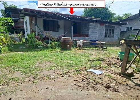ขายทอดตลาด ที่ดินพร้อมสิ่งปลูกสร้าง ต.ดอนมนต์ อ.สตึก จ.บุรีรัมย์