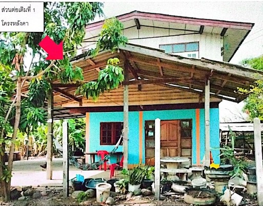 ขายทอดตลาด ที่ดินพร้อมสิ่งปลูกสร้าง ต.บัวทอง อ.เมืองบุรีรัมย์ จ.บุรีรัมย์