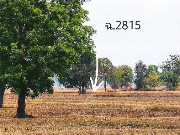 ขายทอดตลาด ที่ดินว่างเปล่า ต.โคกขมิ้น อ.พลับพลาชัย จ.บุรีรัมย์