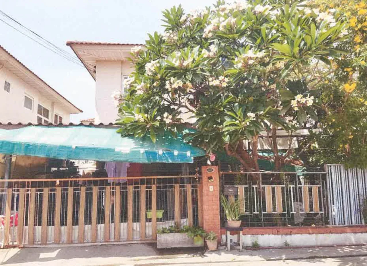 ขายทอดตลาด ที่ดินพร้อมสิ่งปลูกสร้าง ต.บางขะแยง อ.เมืองปทุมธานี จ.ปทุมธานี