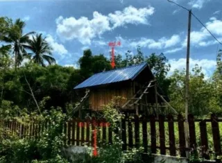 รูปทรัพย์ 1
