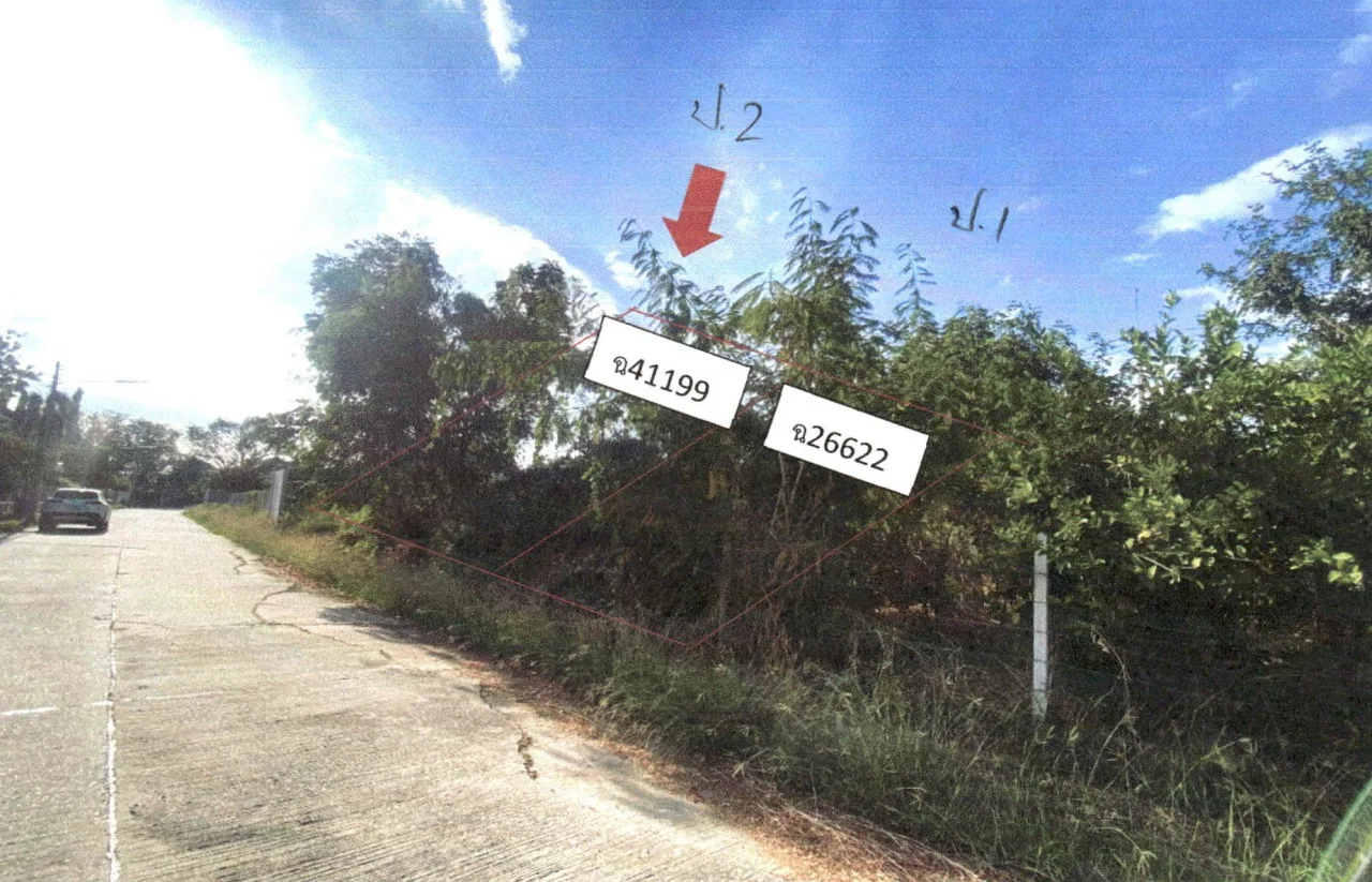 ขายทอดตลาด ที่ดินว่างเปล่า ต.ท้ายเกาะ อ.สามโคก จ.ปทุมธานี
