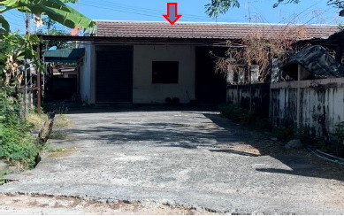 ขายทอดตลาด ที่ดินพร้อมสิ่งปลูกสร้าง ต.ลำปลายมาศ อ.ลำปลายมาศ จ.บุรีรัมย์