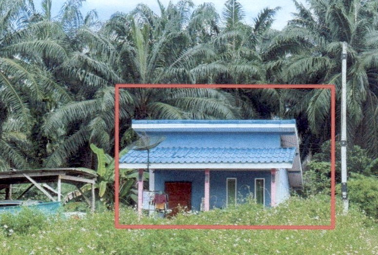 ขายทอดตลาด ที่ดินพร้อมสิ่งปลูกสร้าง ต.หนองทะเล อ.เมืองกระบี่ จ.กระบี่