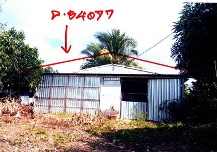 ขายทอดตลาด ที่ดินพร้อมสิ่งปลูกสร้าง ต.หนองคู อ.ลำปลายมาศ จ.บุรีรัมย์