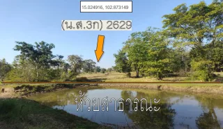 รูปทรัพย์ 1