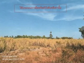 รูปทรัพย์ 4
