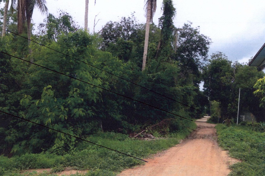 ขายทอดตลาด ที่ดินว่างเปล่า ต.วังชะโอน อ.บึงสามัคคี จ.กำแพงเพชร