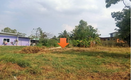 ขายทอดตลาด ที่ดินว่างเปล่า จ.บุรีรัมย์