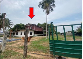 ขายทอดตลาด ที่ดินพร้อมสิ่งปลูกสร้าง ต.โคกล่าม อ.ลำปลายมาศ จ.บุรีรัมย์