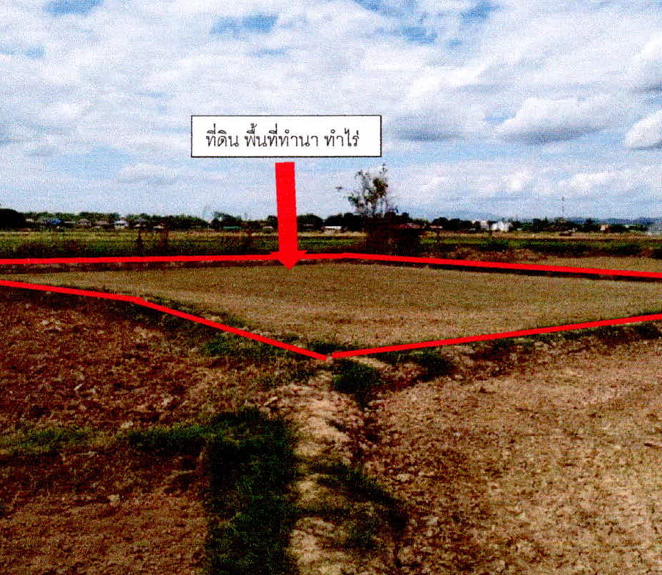 ขายทอดตลาด ที่ดินว่างเปล่า จ.น่าน