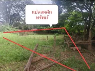 รูปทรัพย์ 2