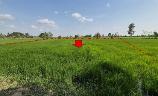 ขายทอดตลาด ที่ดินว่างเปล่า จ.กาฬสินธุ์