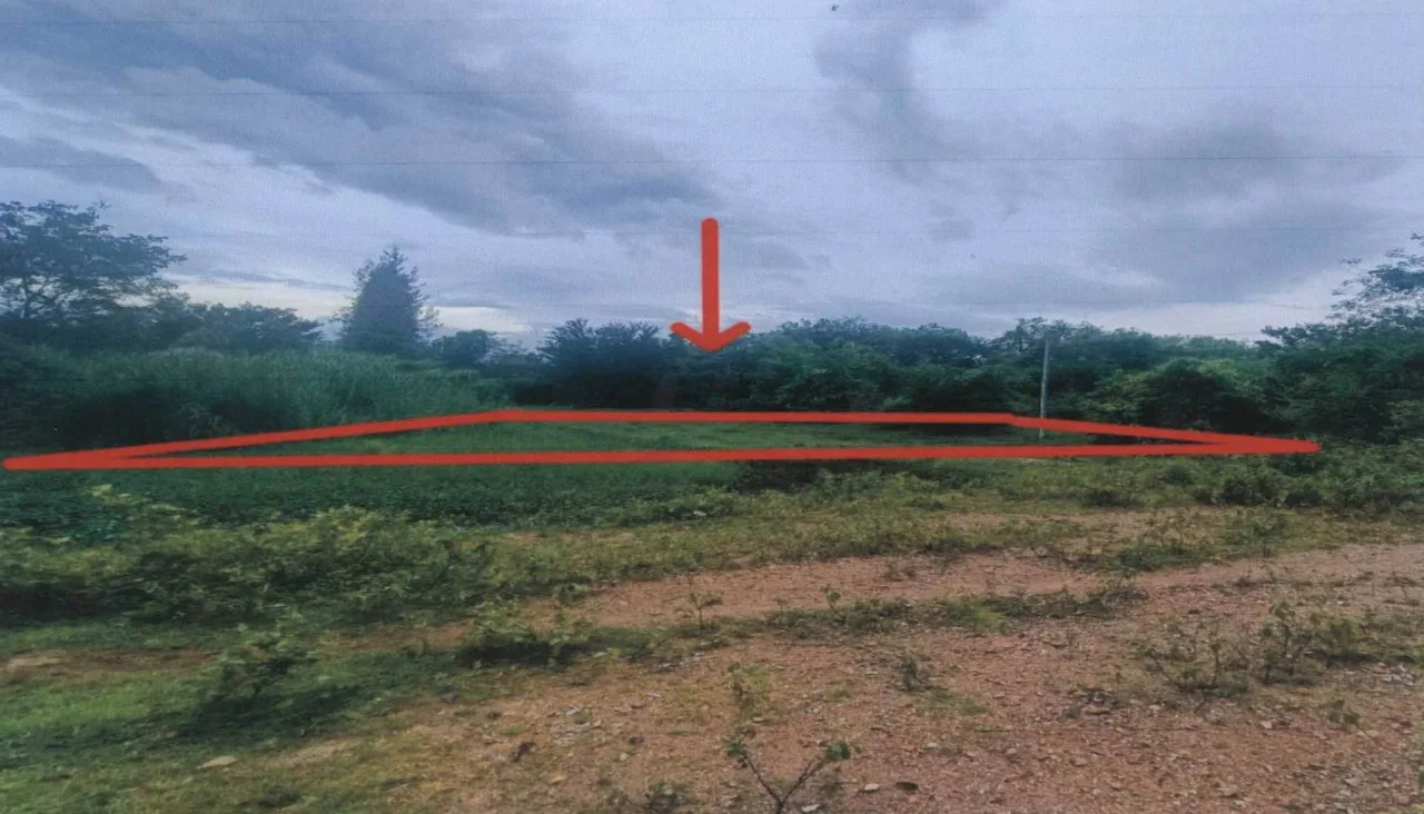 ขายทอดตลาด ที่ดินว่างเปล่า ต.กลัดหลวง อ.ท่ายาง จ.เพชรบุรี