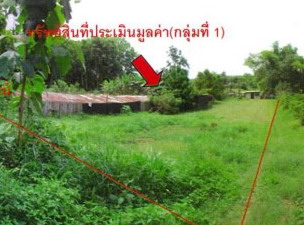 ขายทอดตลาด ที่ดินพร้อมสิ่งปลูกสร้าง ต.ม่วงตึ้ด อ.ภูเพียง จ.น่าน