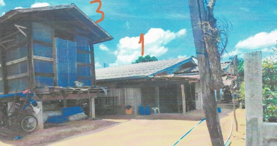 ขายทอดตลาด ที่ดินพร้อมสิ่งปลูกสร้าง ต.บ้านยาง อ.ลำปลายมาศ จ.บุรีรัมย์