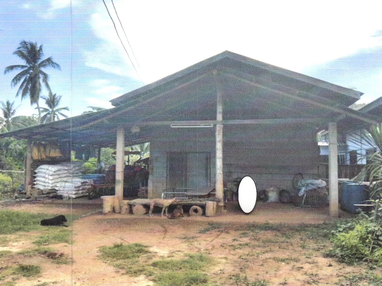 ขายทอดตลาด ที่ดินพร้อมสิ่งปลูกสร้าง ต.ศรีษะเกษ อ.นาน้อย จ.น่าน