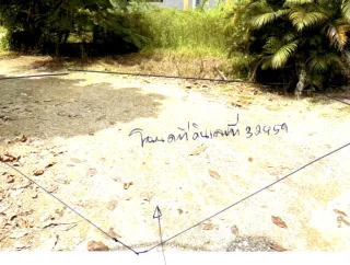 รูปทรัพย์ 2